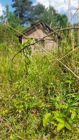 Дача в Дережичах 6сотих