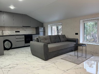 Оренда однокімнатної, новобудова, Соснівка