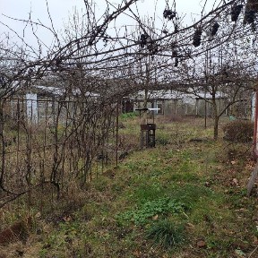 Продам дачний будинок в кооперативі, Сад'', 6 соток землі, в с. Ташки.