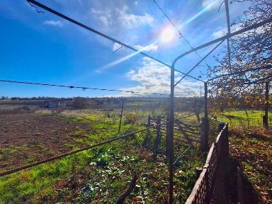 10 км від Одеси - село Іванове!