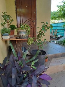 Одеська область, Великодолинське