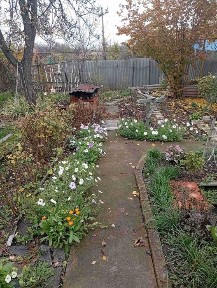 Сдається в оренду, будинок, ЖД лікарня !