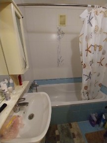 Оренда 2 кімнатна Розівка