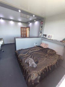 Харківська область, Харків, Київський