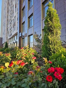 1к‼️Краснова Кадорр Сити