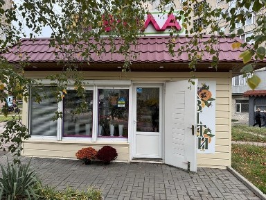 Кіровоградська область, Олександрія