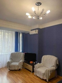 Дніпропетровська область, Дніпро, Центральний