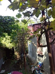 Продам будинок в центрі