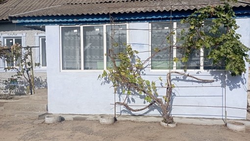 Продам будинок с. Новопетрівське 13 км від Нової Одеси