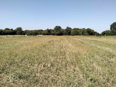 Київська область, Іванівка