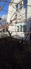 Оренда. Здам частину будинка р-н ПРОМАВТОМАТИКИ можна з твариною