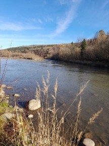 Будинок з землею, гарний крайовид ! Старий мізунь.