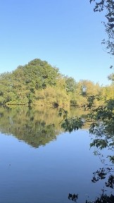 Оренда будинку, ферми, склад, територія, корівник, поле для випасу