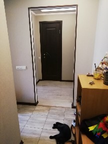 Продажа 2-комнатной квартиры 46 м², Добровольского просп., 73