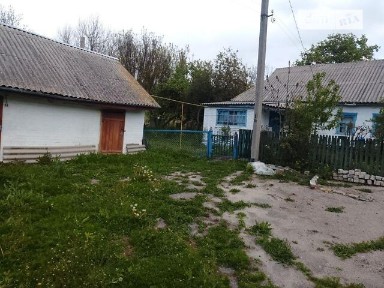 Продаж 1 поверхового будинку з ділянкою на 80 соток, 45.9 кв. м, 2 кімнати, на вул. Івківці 43 • ID 33613889