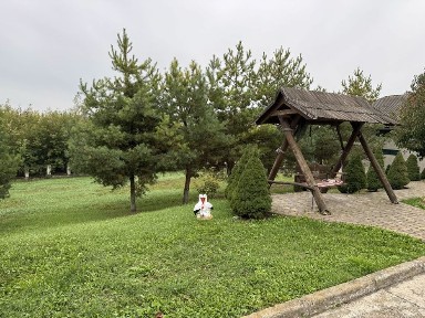 Продаж з 15 грудня 2025 року