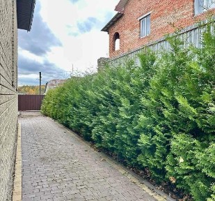 Продається окремий будинок в Кутківцях