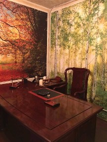 Продам помещения свободного назначения 920 м. сдано в аренду.