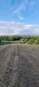 Здам хату в оренду біля ставка