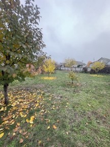 Оренда 1/2 будинку. Тритузна