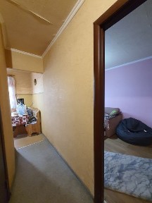 Дніпропетровська область, Дніпро, Центральний