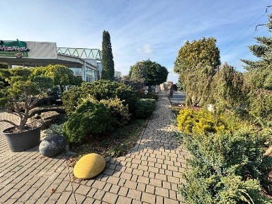 Полтавська область, Полтава