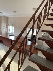 Київська область, Софіївська Борщагівка