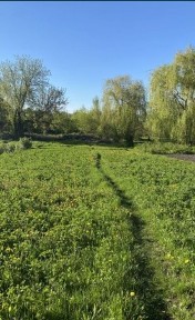 Ваша мрія ! Старовинна садиба в Центрі міста з великою ділянкою