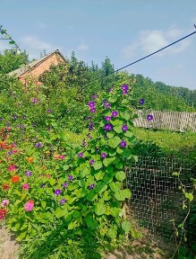 Полтавська область, Полтава