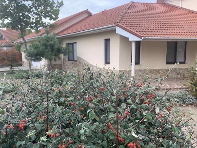 Одеська область, Одеса, Київський