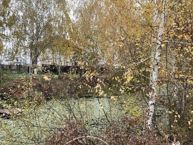 Київська область, Раківка