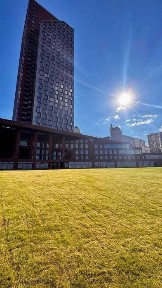 Дніпропетровська область, Дніпро, Шевченківський