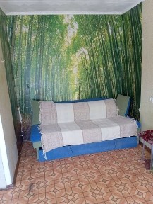 Дніпропетровська область, Кривий Ріг, Саксаганський