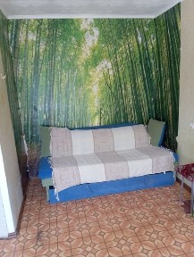 Дніпропетровська область, Кривий Ріг, Саксаганський