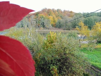 Львівська область, Рокитне