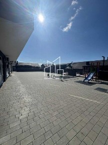 Львівська область, Львів, Шевченківський