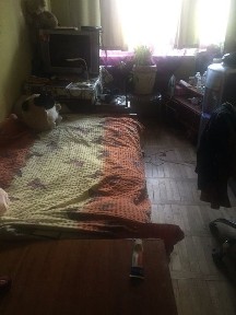 Львівська область, Львів, Шевченківський