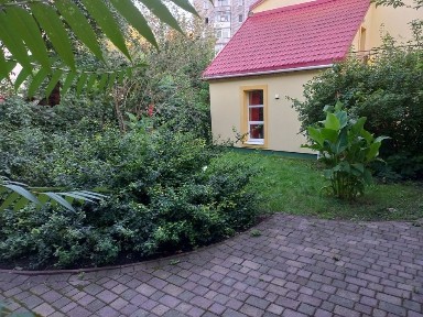 Львівська область, Львів, Шевченківський