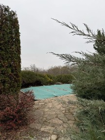 Здам будинок з власним лісом і басейном