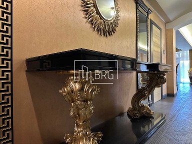 Київська область, Козин