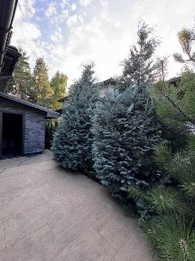 Здам в Оренду Будинок 270м2 Газ Можна з Тваринами Гараж СучаснийДизайн