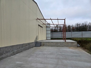 Київська область, Велика Олександрівка