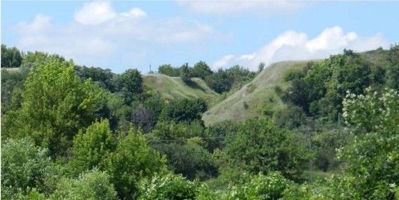 Будинок в Яцинах