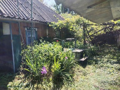 Продам хату в селі