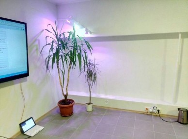 Помещение офис 18 кв. м. /услуги/ в центре, р-н Лахти