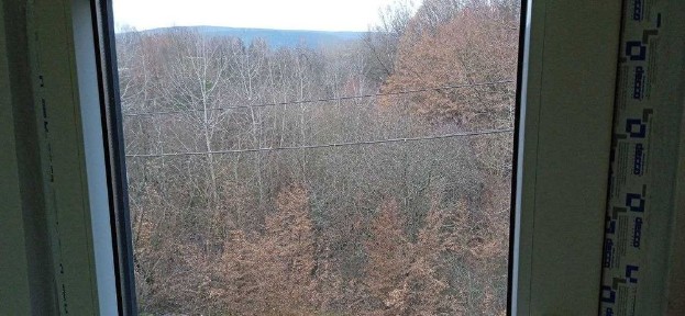 Здається Дім (дача) біля лісу та озера для житла і вдаленої роботи