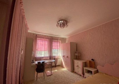 2-х поверховий будинок, Велика Данилівка, 285 м2.