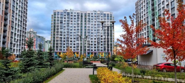 Київська область, Київ, Шевченківський