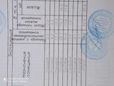 Київська область, Ірпінь