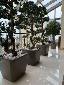 Одеська область, Одеса, Приморський